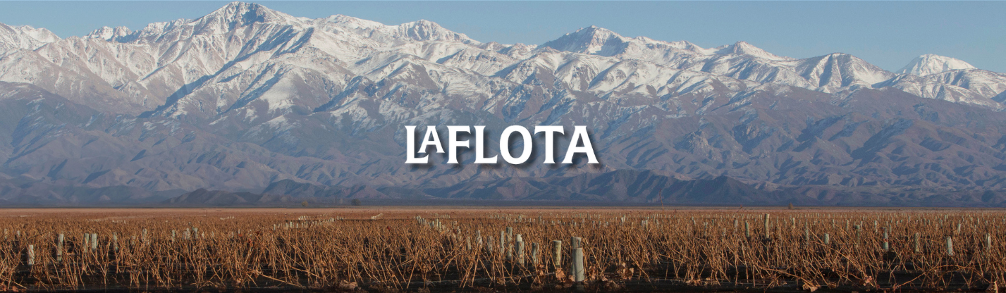 distribuye la flota