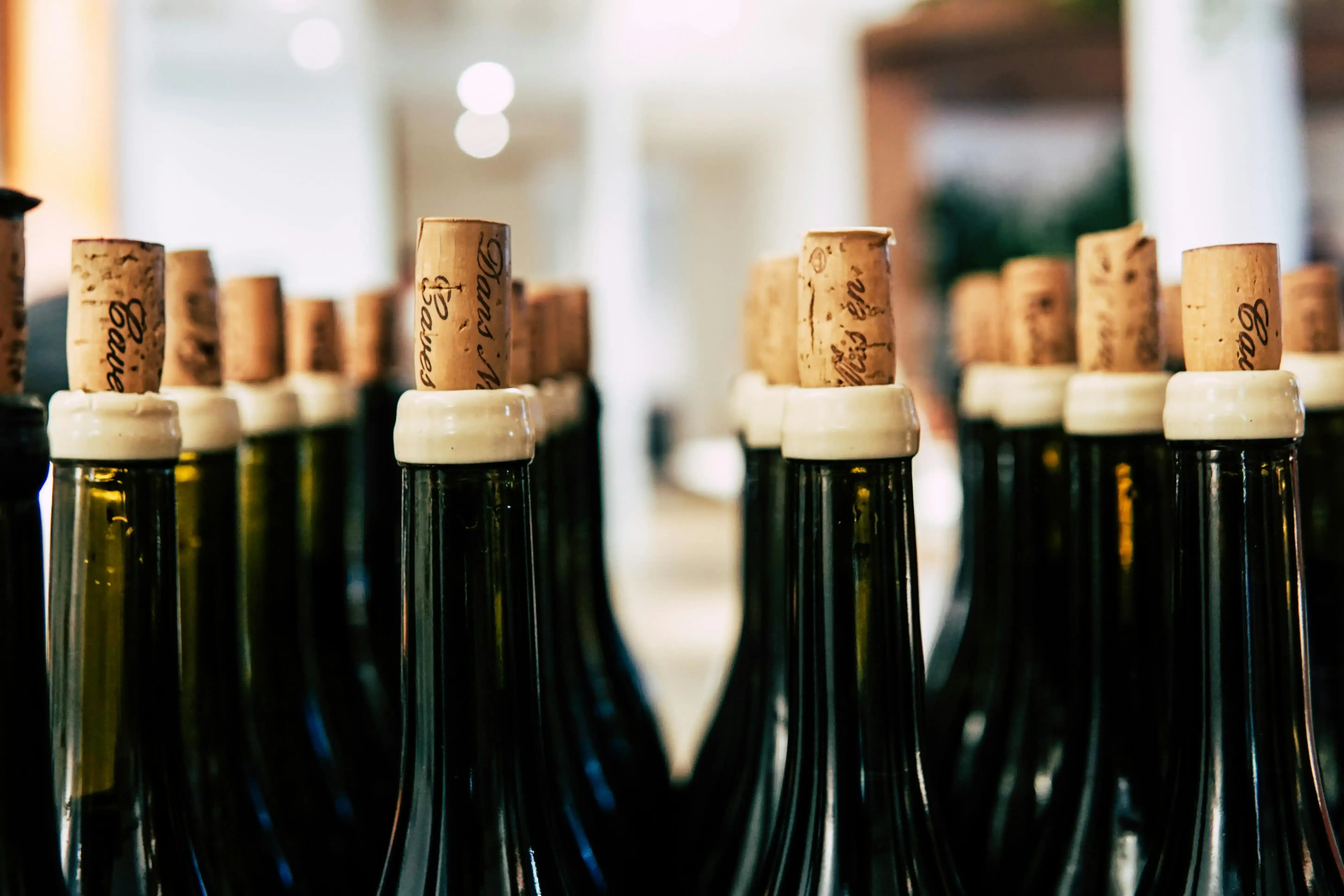 Botellas de vino